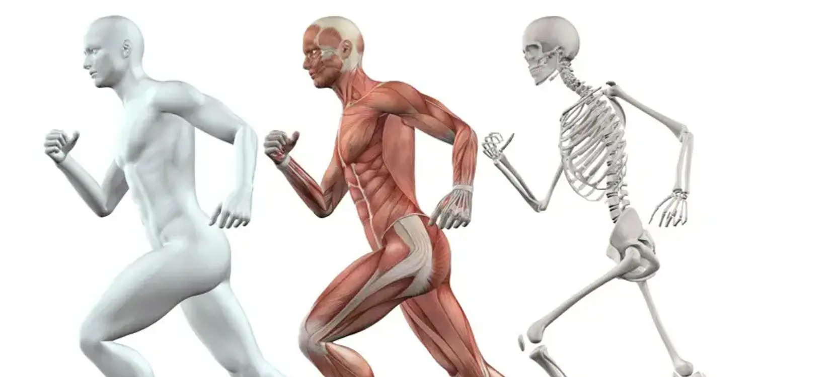 Body Mechanics Body Mechanics