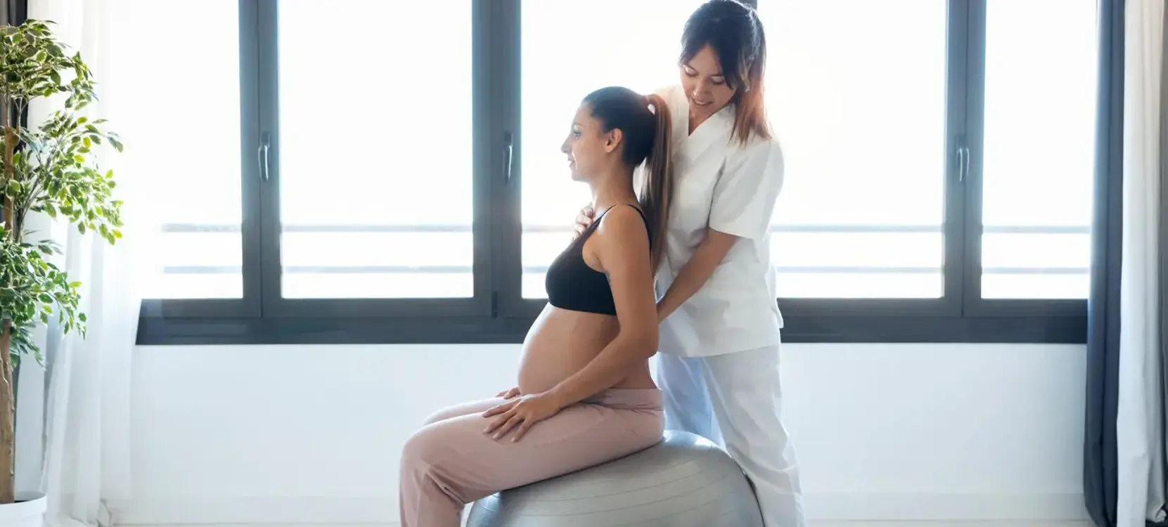 Postpartum Doula Course – Flagship Program Postpartum Doula Course – Flagship Program